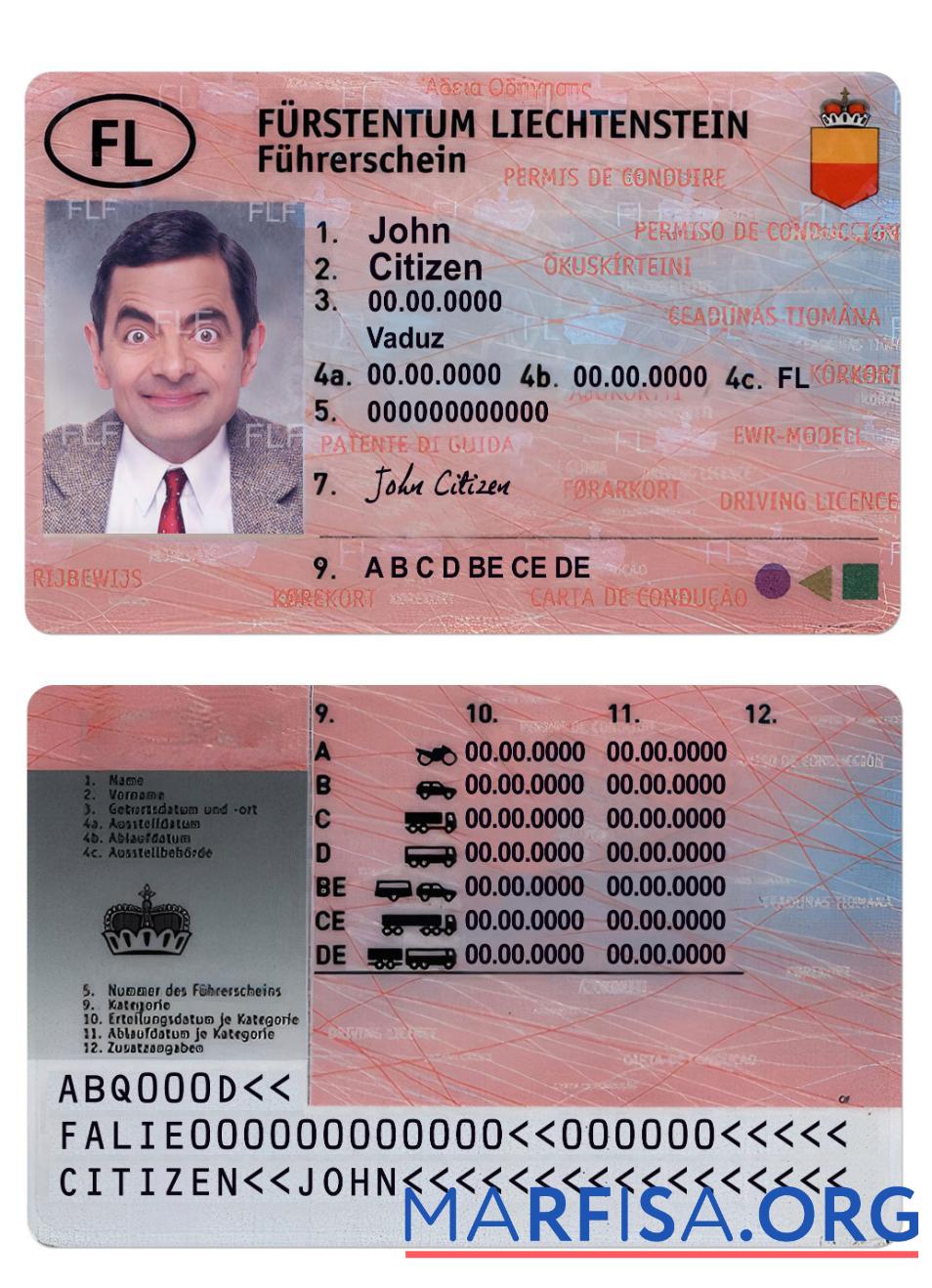 Printable Liechtenstein driving license example